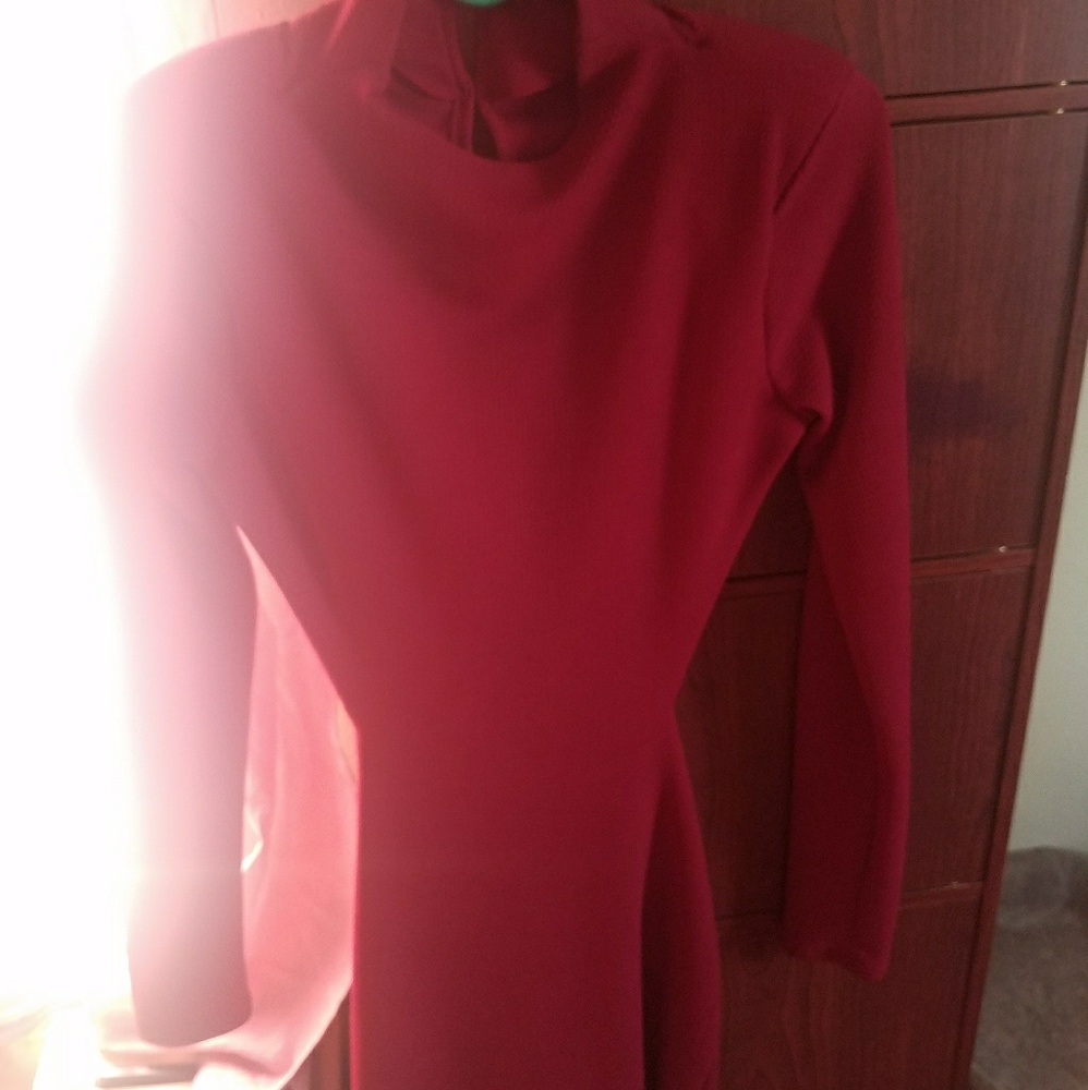Fashion nova long sleeve open back dress